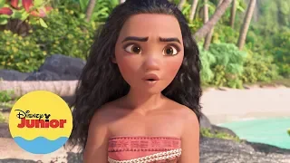 🎶 Saber Quem Sou | Moana - Um Mar de Aventuras