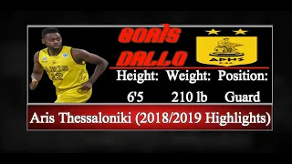 Boris Dallo - 2018/2019 Highlights