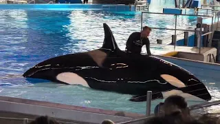 Sea World (San Antonio)