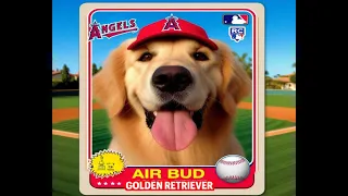 LA Angels Call Up #1 Draft Pick 'Air Bud' - Sports Center (Parody)