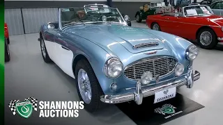 1958 Austin-Healey 100/6 BN4 Roadster - 2021 Shannons Spring Timed Online Auction