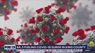 BA.5 fueling COVID-19 surge in King County | FOX 13 Seattle