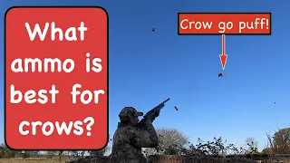 What ammo is best for shooting crows?