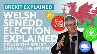 Welsh Parliament Election: Could Labour Win the Welsh Senedd? - TLDR News