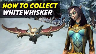 Whitewhisker - Where To Find This Battle Pet
