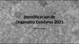 Identificación de Organelos Celulares 2021 - its.histology