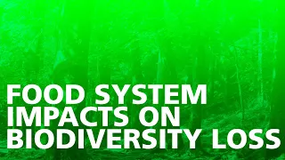 Food System Impacts on Biodiversity Loss