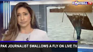 PAK JOURNALIST SWALLOWS A FLY ON LIVE TV | YOU WON'T BELIEVE WHAT HAPPENED NEXT