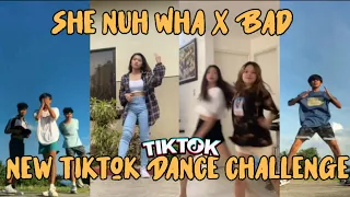 She Nuh Wha X Bad - New Tiktok Dance Challenge