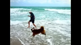 Haulover Beach Florida