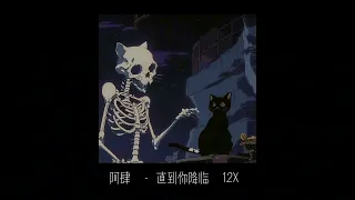 直到你降临-阿肆 1.2x 加速版