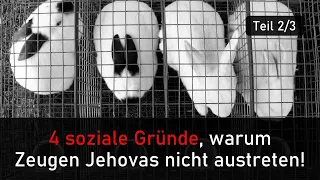 4 soziale Gründe, warum Zeugen Jehovas nicht austreten!