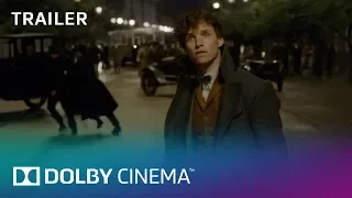 Fantastic Beasts: The Crimes of Grindelwald - Final Trailer | Dolby Cinema | Dolby