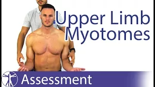 Myotomes Upper Limb | Peripheral Neurological Examination