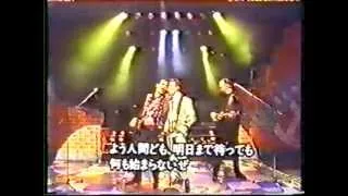 Tin Machine Baby Universal Japanese TV.