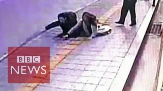 Video: Sinkhole in South Korea 'swallows' 2 pedestrians - BBC News