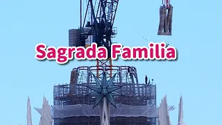 They begin the penultimate of the Jesus Tower in the Basilica of the Sagrada Familia - 22 May 2024