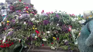Море цветов у памятника Неизвестному матросу. Одесса. 9 мая 2015 год