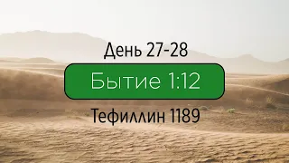 Тефиллин. День 27-28. Бытие 1:12. Повторение стиха 50 раз