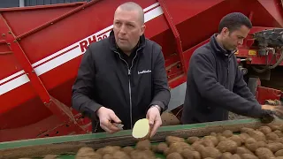 Il cultive des pommes de terre pour Mc Do