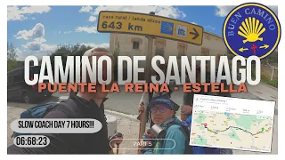 Day 5: Camino De Santiago. Puente La Reina to Estella