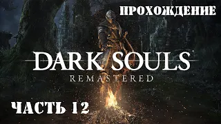 DARK SOULS: REMASTERED. Прохождение. Часть 12.