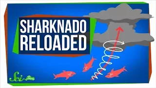 Sharknado Reloaded: Yep, Still Impossible