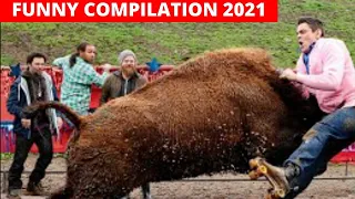 Funny animals compilation 2021 | Funny animal videos compilation 2021 |