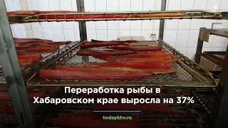 Переработка рыбы в Хабаровском крае выросла на 37%