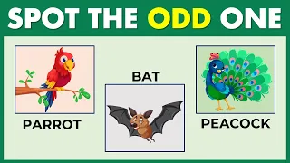 CAN YOU FIND THE ODD ONE OUT? 99% CANNOT!  #englishchallenge 6
