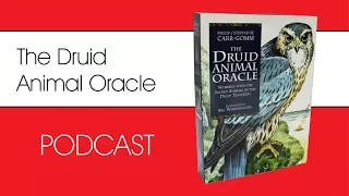 Druid Animal Oracle Author Philip Carr-Gomm, interviewed by Steve Nobel | PODCAST for Eddison Books