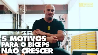 Papo com Kotolak: 5 motivos para o seu bíceps não crescer