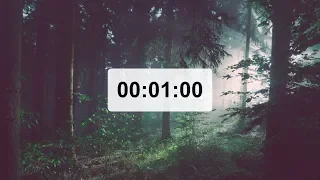 1 minute countdown timer - forest