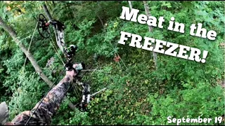 Wisconsin Deer Bow Opening Week 2023, Early Season Deer on Public Land!