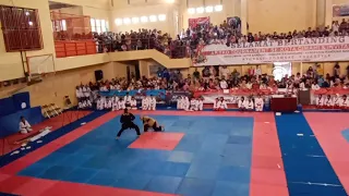 Demonstrasi Taekwondo By Gorila Club