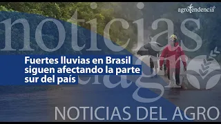 🔴 Brasil: fuertes lluvias siguen afectando la parte sur del país - Noticias del Agro