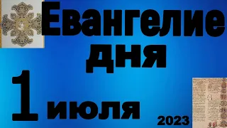 Включи прямо сейчас!  Евангелие дня 1 июля 2023 года