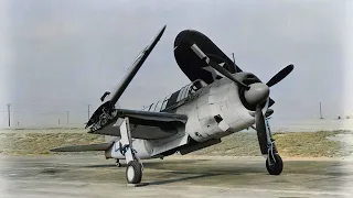 The Worst Airplane of WW2 - Brewster Buccaneer Scout Bomber