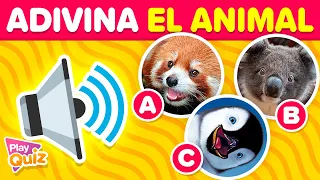 Guess the Animal by the Sound 🐸🔊🐷 | Play Quiz Trivia