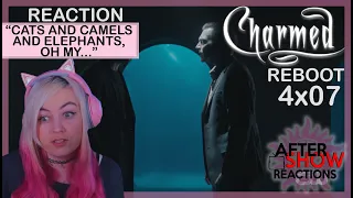 Charmed Reboot 4x07 - "Cats And Camels And Elephants, Oh My..." Reaction