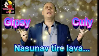 Gipsy Culy   Gipsy Fast Radko   Našunav tire lava