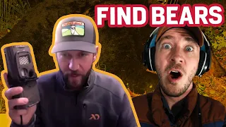 How To Find Bears In The Fall | Fall Bear Hunting 2020