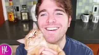 Logan Paul Reacts To the Shane Dawson Cat Drama | Hollywoodlife