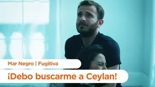 ¡Ceylan desapareció! - Mar Negro | Fugitiva