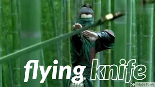 🔥 kung fu movies collection🔥the master of flying knives. zhang yimou's films：House of Flying Daggers