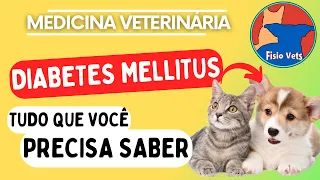 Diabetes Mellitus em Cães e Gatos - Fisiopatologia, Manifestações Clínicas e Diagnóstico