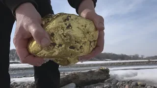 Incredible find! Finding giant gold nuggets