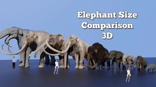 Elephant Size Comparison I 3D
