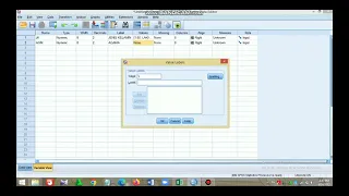 TUTORIAL CARA UJI CHI SQUARE dengan aplikasi SPSS