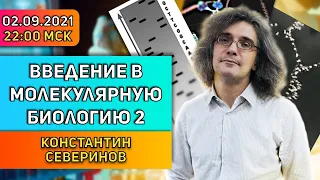 Константин Северинов. Введение в молекулярную биологию: Плавление, копирование и секвенирование ДНК.